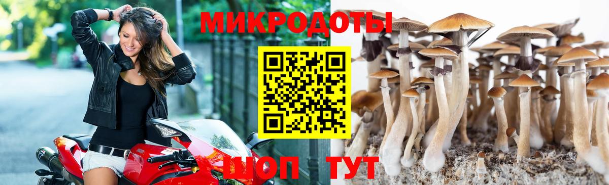 Октябрьский  Псилоцибиновые грибы прущие грибы  Вход с VPN  Псилоцибиновые грибы прущие грибы 